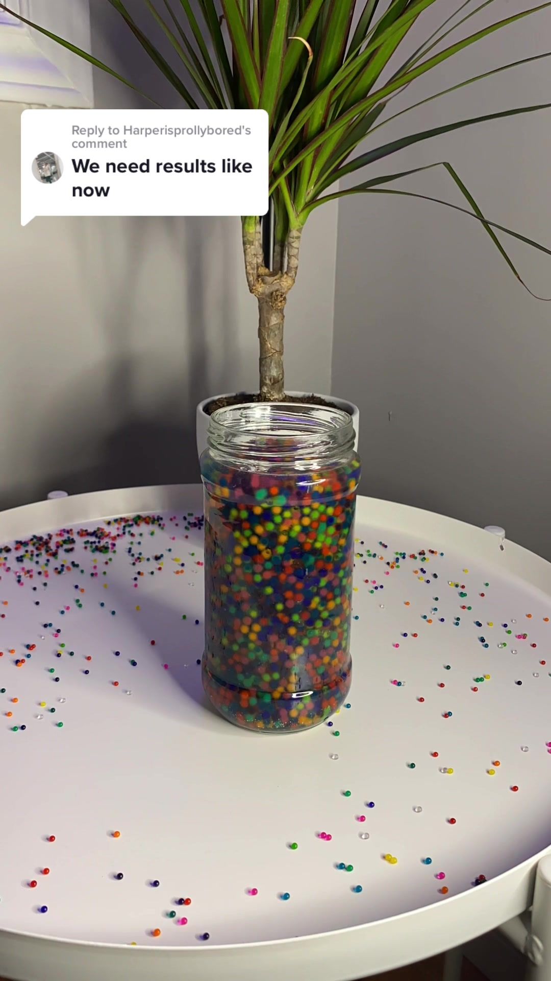 Video post by @orbeezone on TikTok