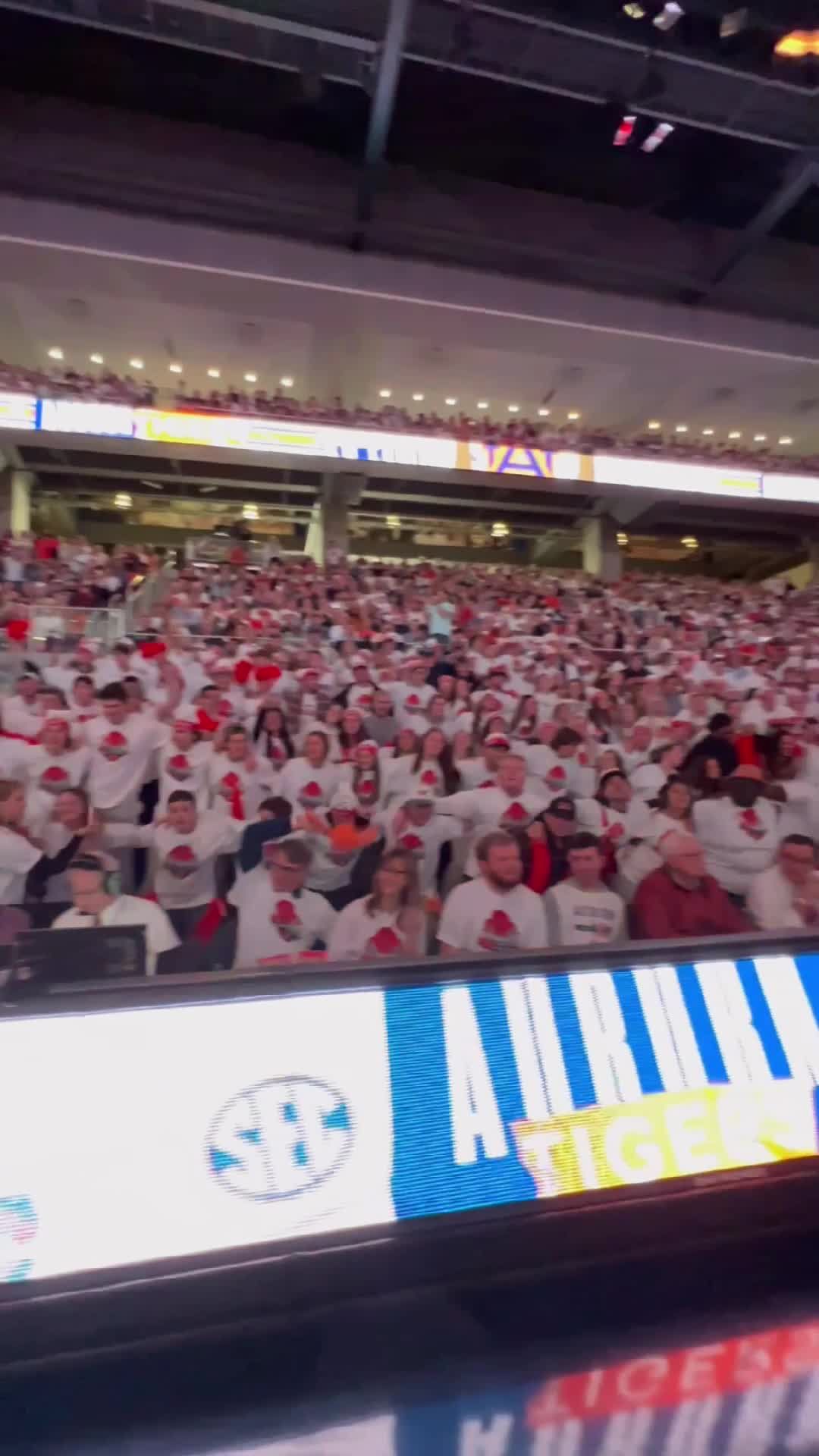 Video post by @auburnmbb on TikTok