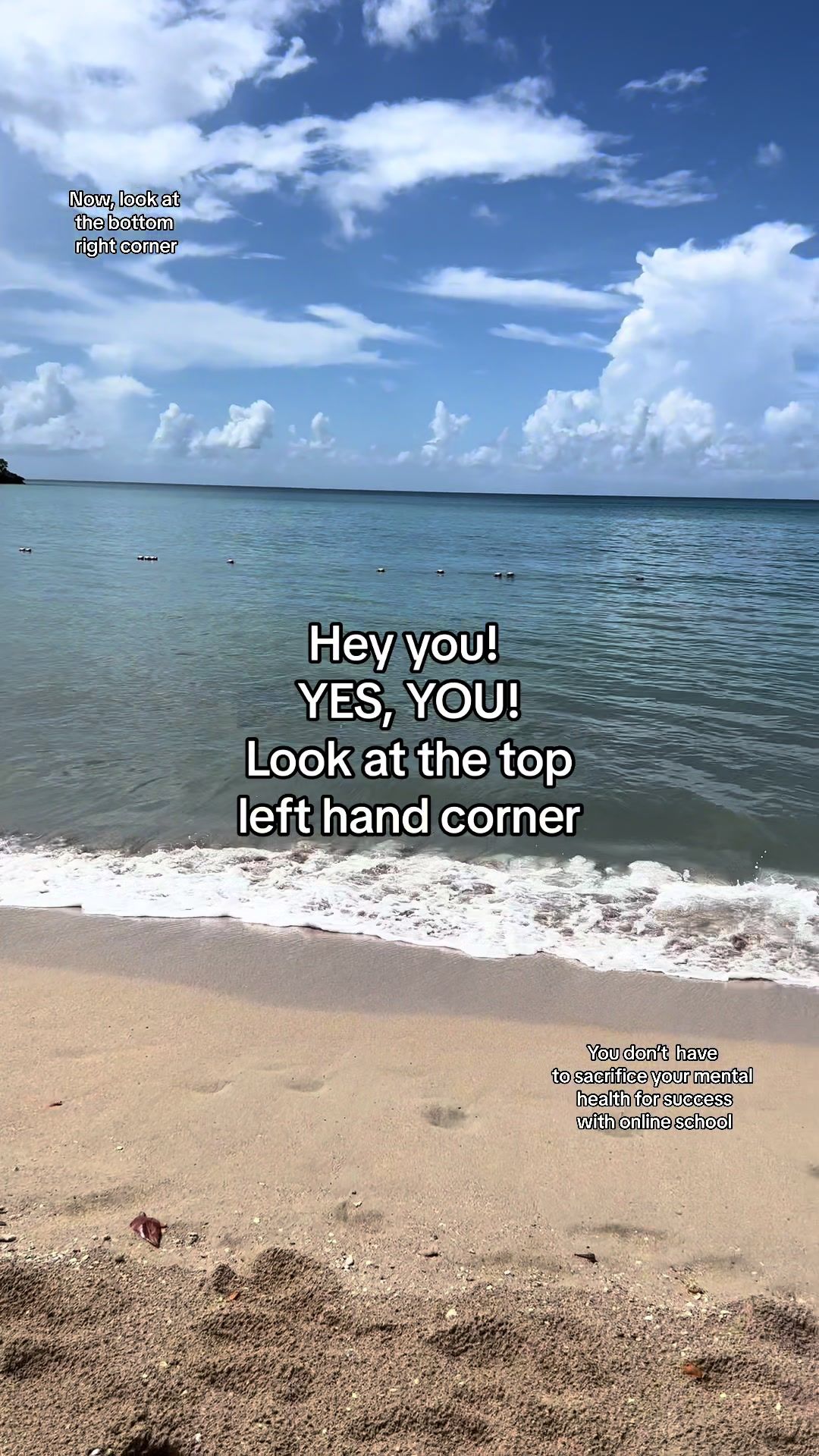 Video post by @connectionsacademy on TikTok