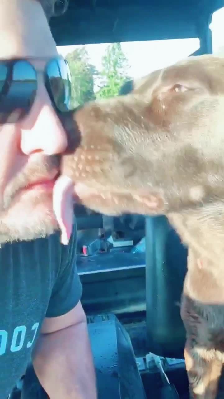 Video post by @lukebryan on TikTok