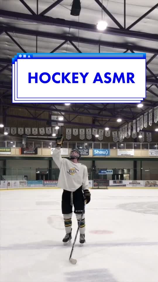 Video post by @bchlkings on TikTok