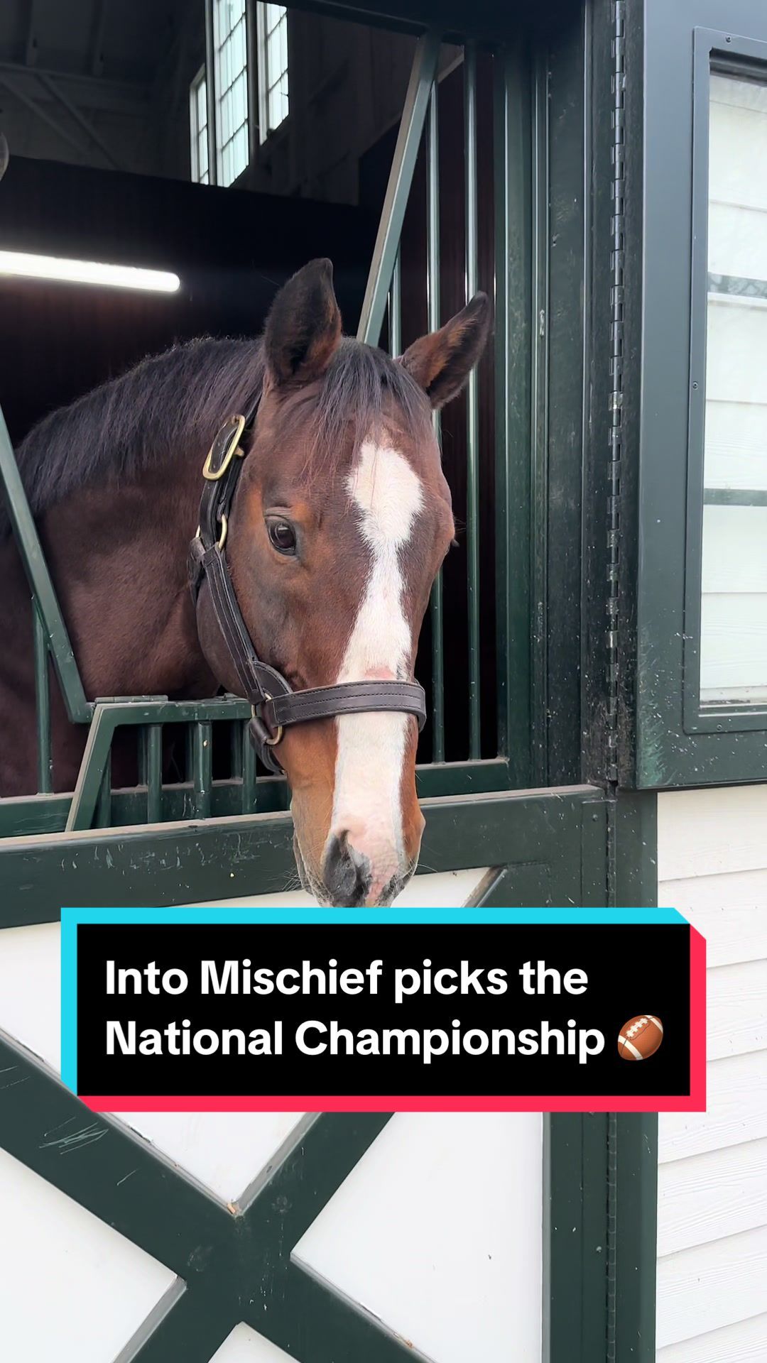 Video post by @spendthriftfarm on TikTok