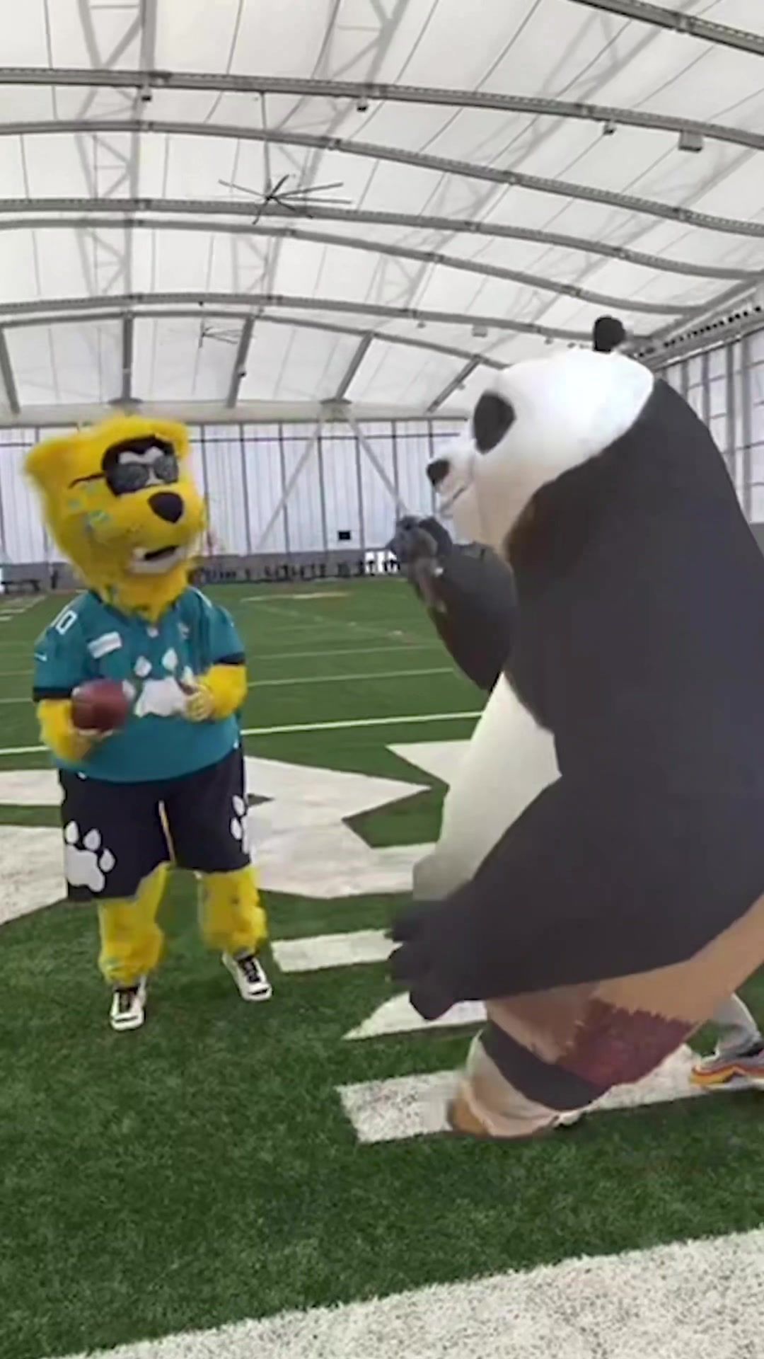 Video post by @jaguars on TikTok