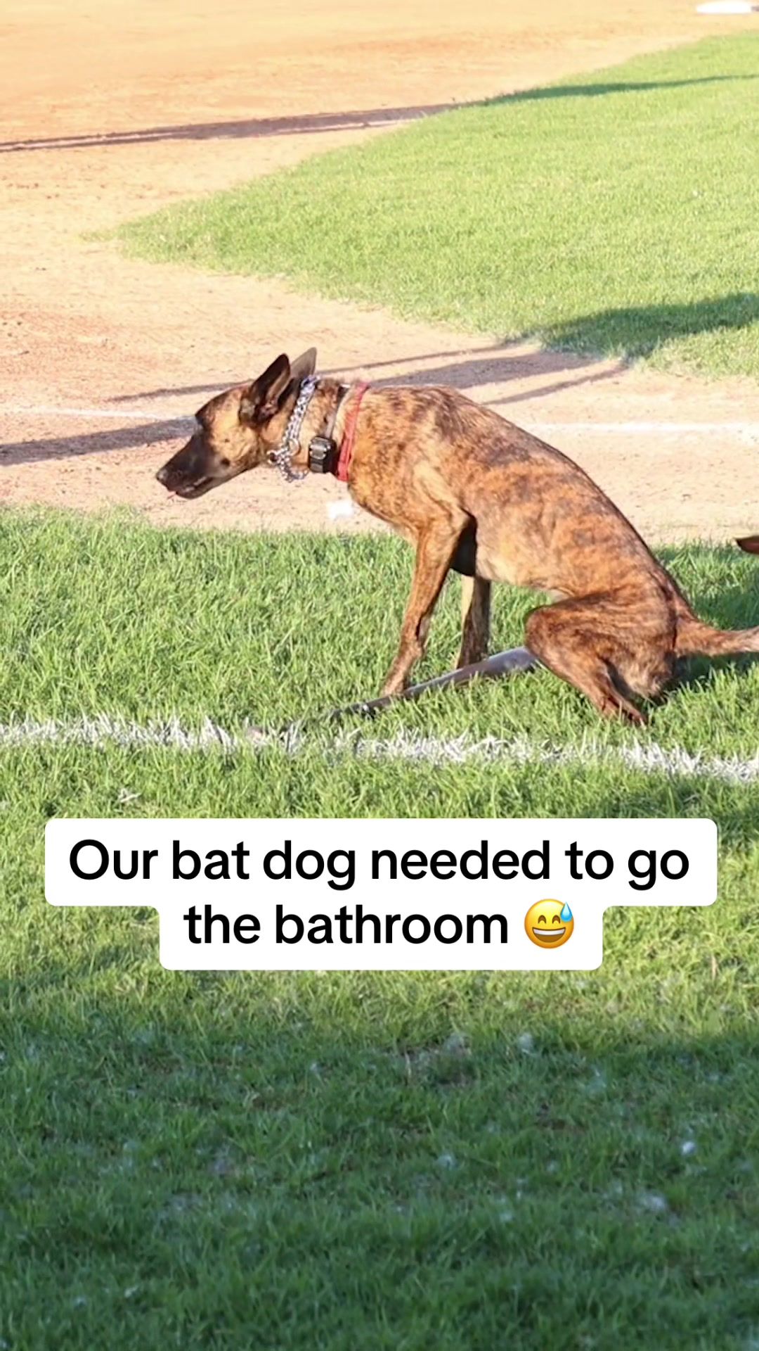 Video post by @bismarcklarks on TikTok