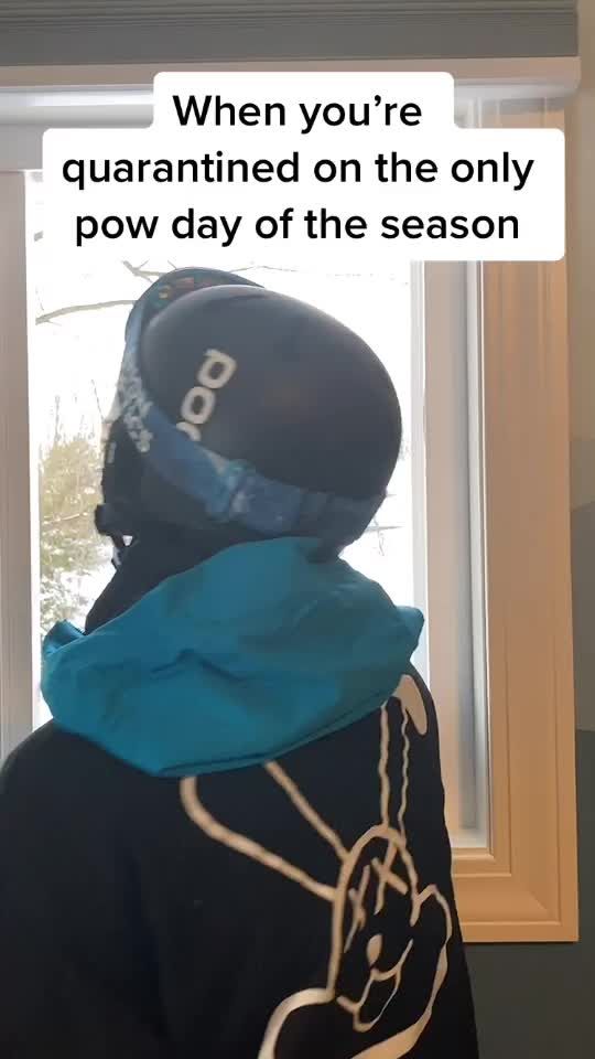 Video post by @snow.bunnyz on TikTok