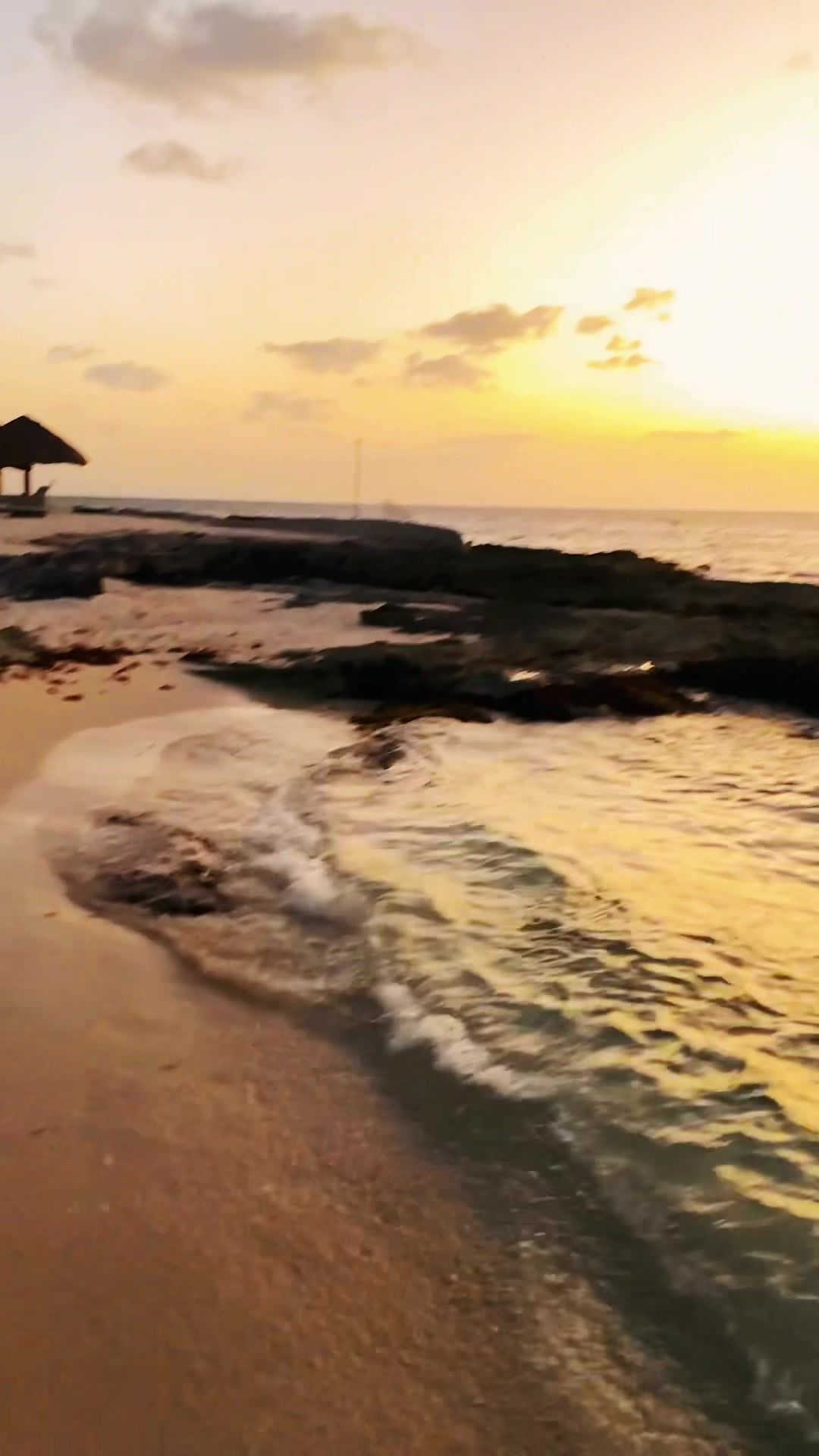 Video post by @maxrenfro on TikTok