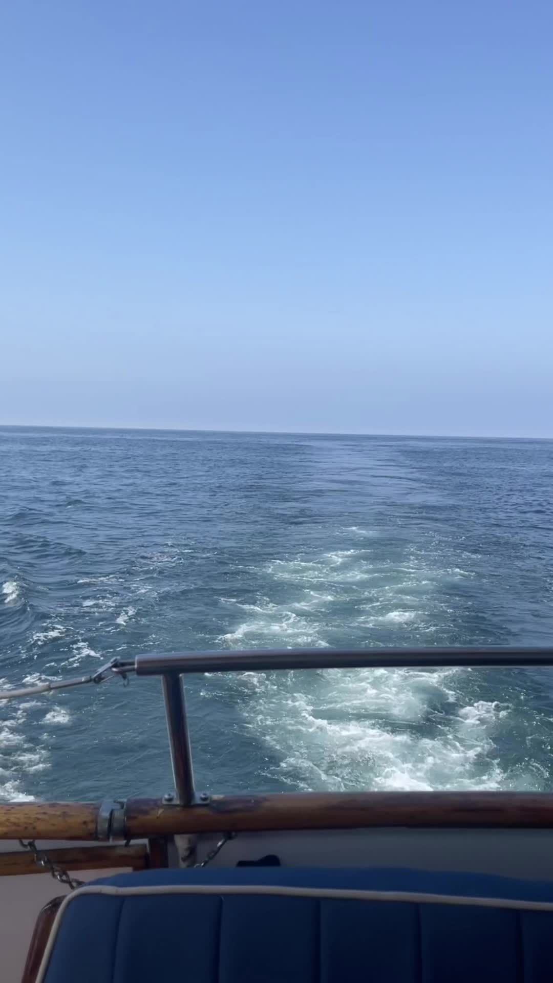 Video post by @evilgeniuses on TikTok