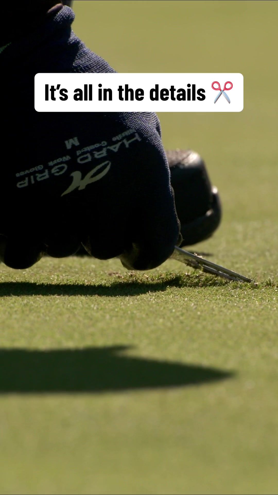 Video post by @pgatour on TikTok