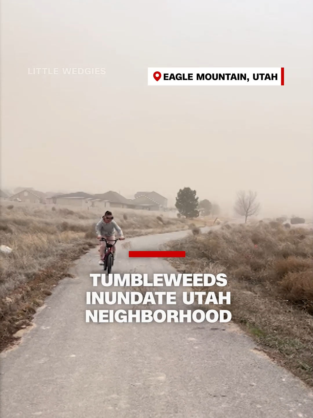 Video post by @cnn on TikTok