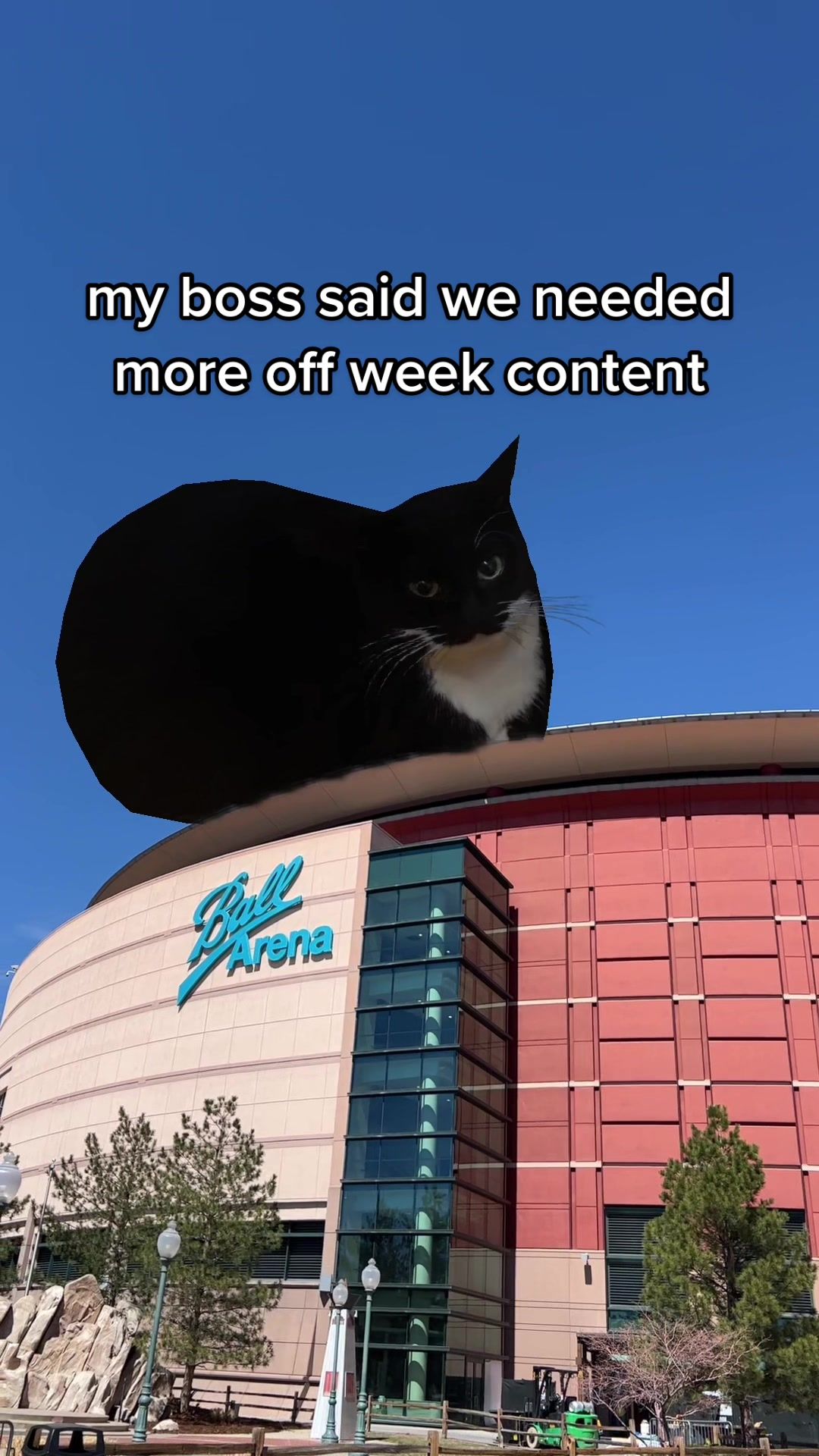 Video post by @nuggets on TikTok