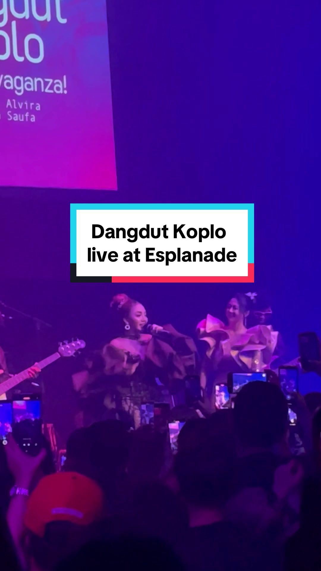 Video post by @esplanadesg on TikTok