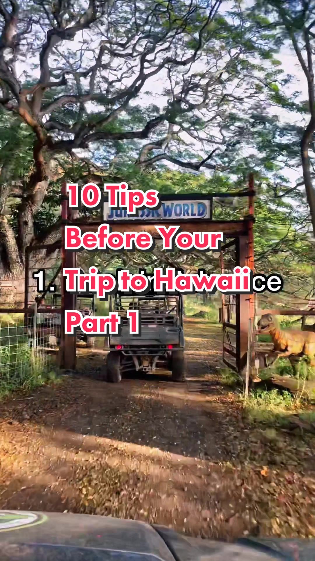 Video post by @thefunsizedfoodie on TikTok