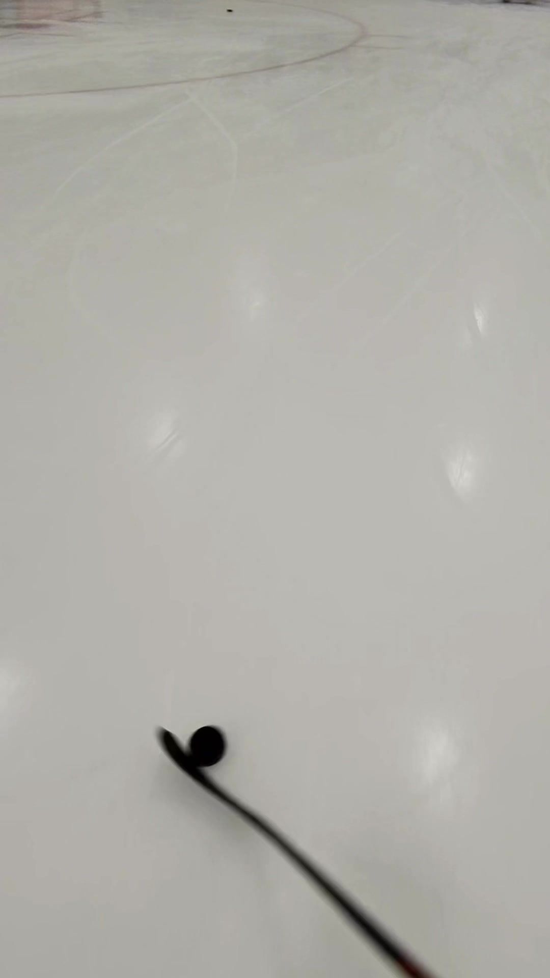 Video post by @alwayshockey on TikTok