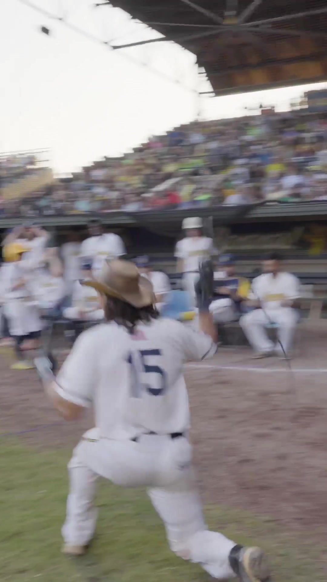 Video post by @thesavbananas on TikTok