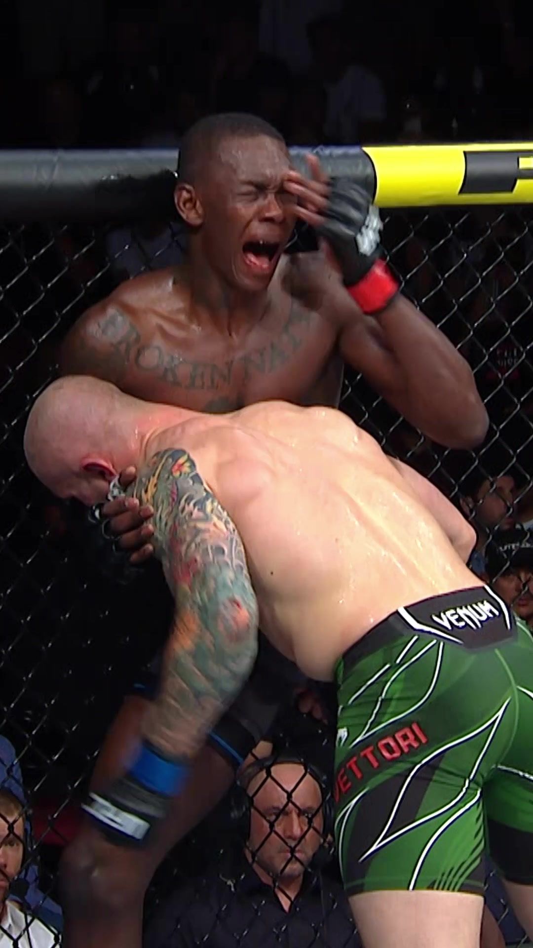 Video post by @ufc on TikTok