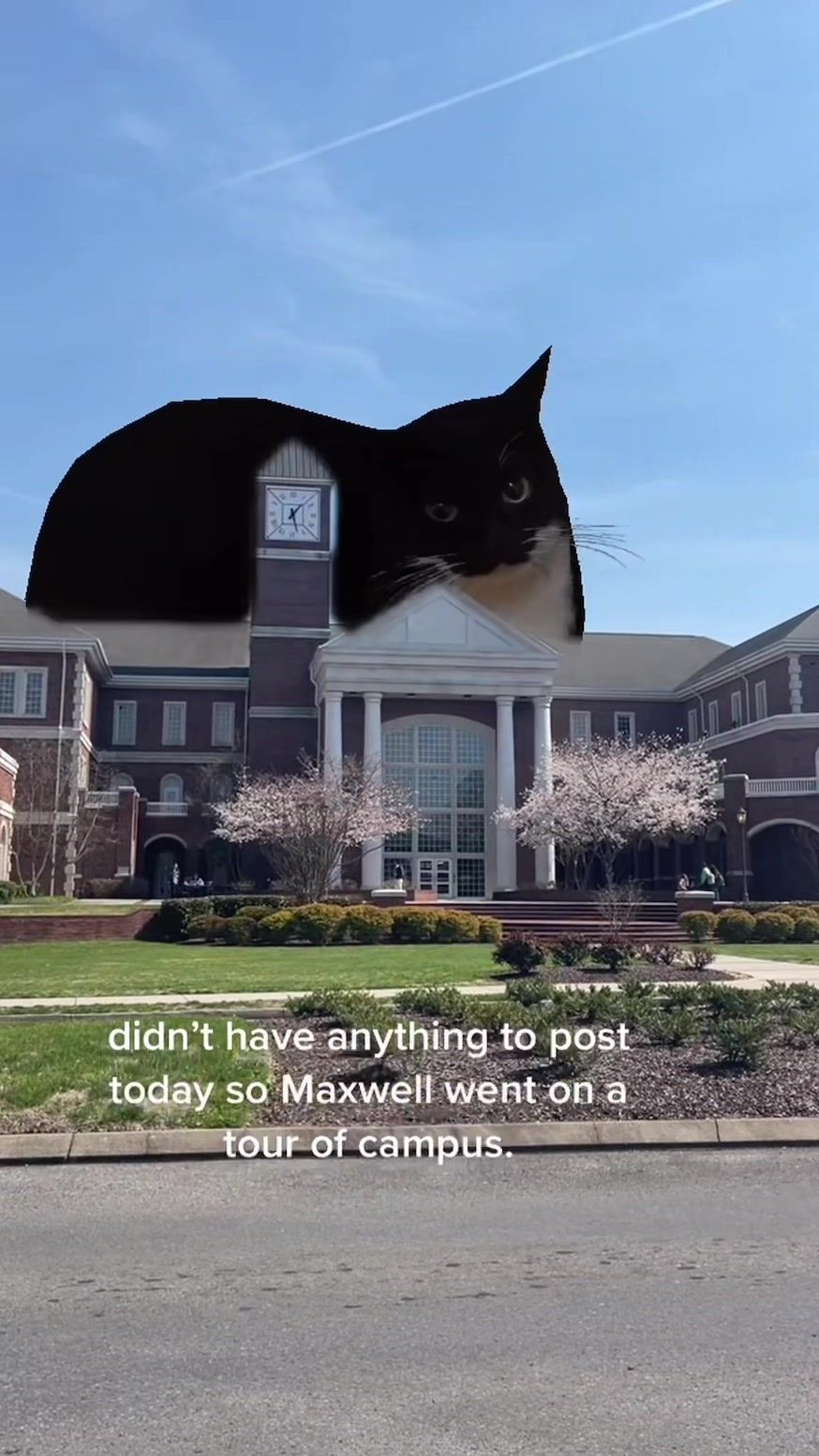 Video post by @leeuniversity on TikTok