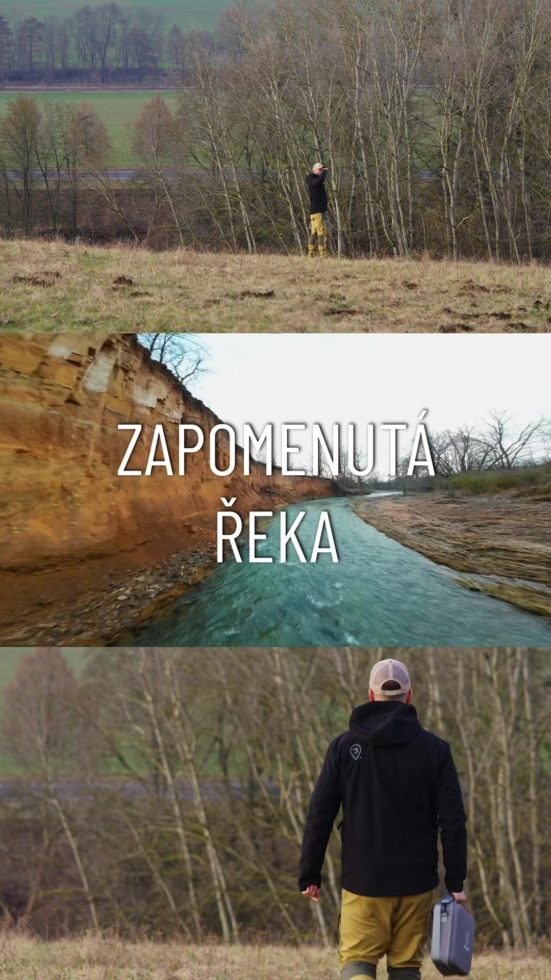 Video post by @realjonaseder on TikTok