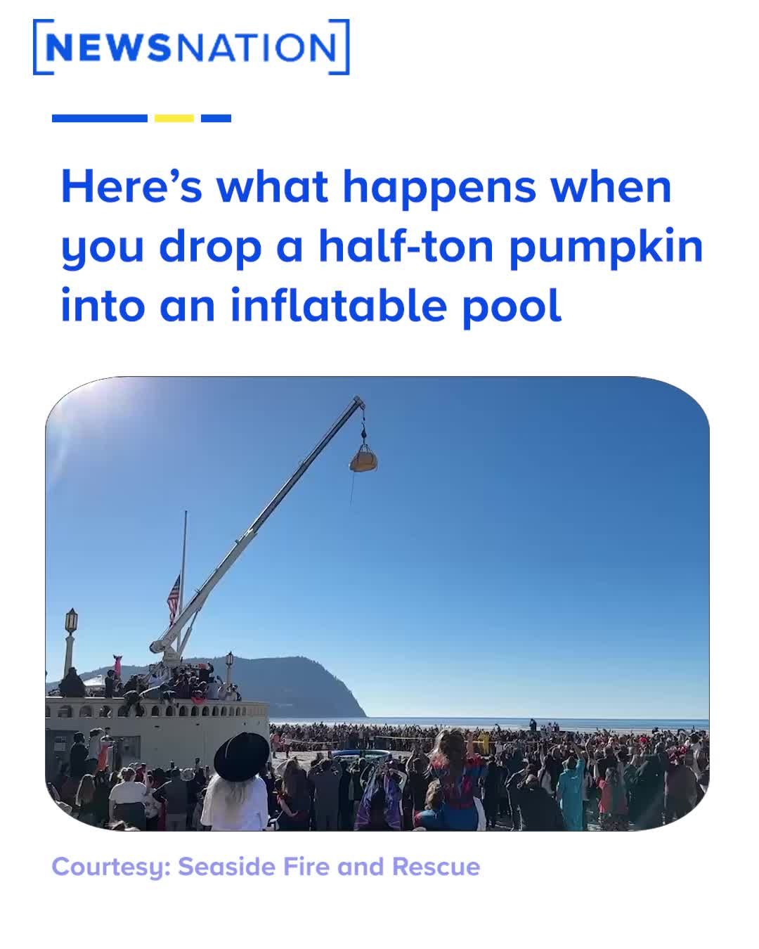 Video post by @newsnationnow on TikTok