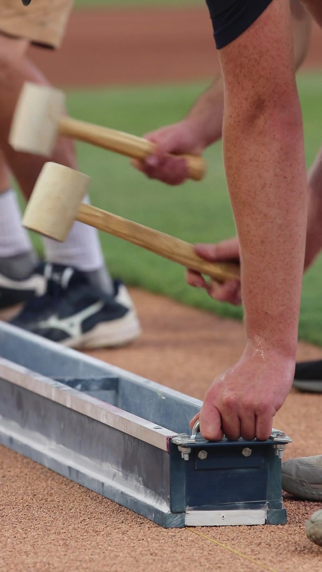 Video post by @ironpigs on TikTok