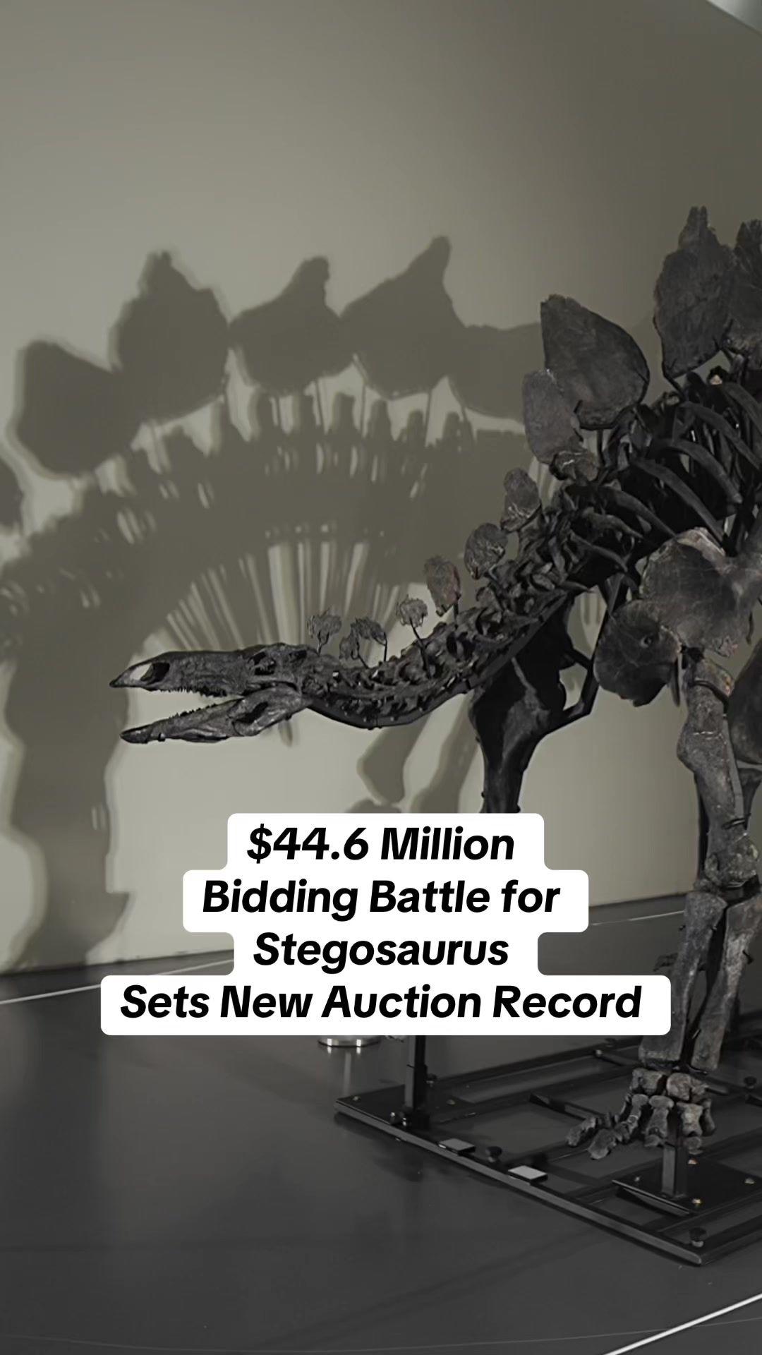 Video post by @sothebys on TikTok