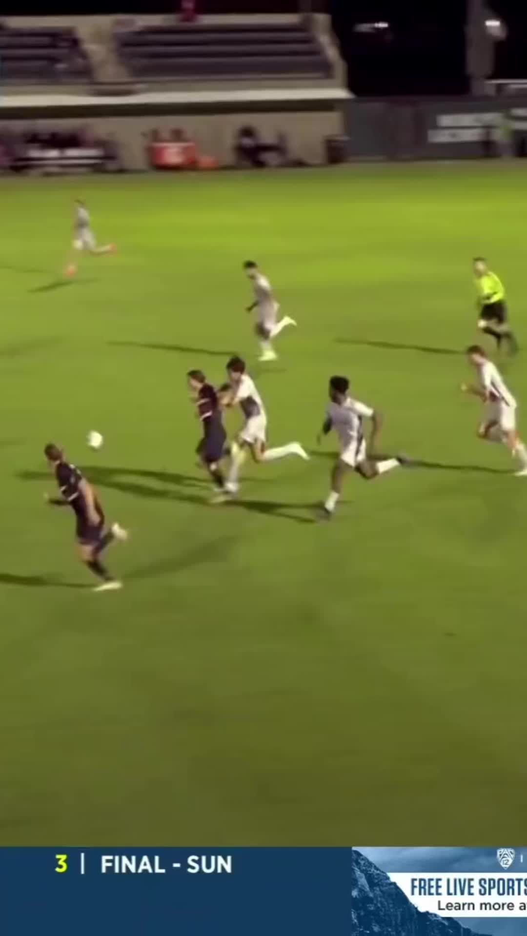 Video post by @gostanford on TikTok