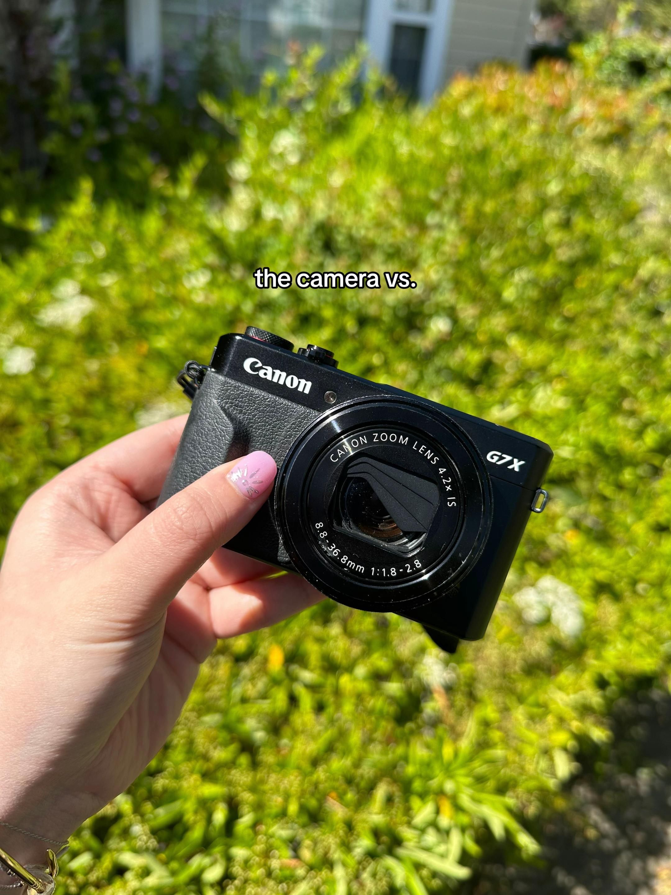 Video post by @sabinerojas on TikTok