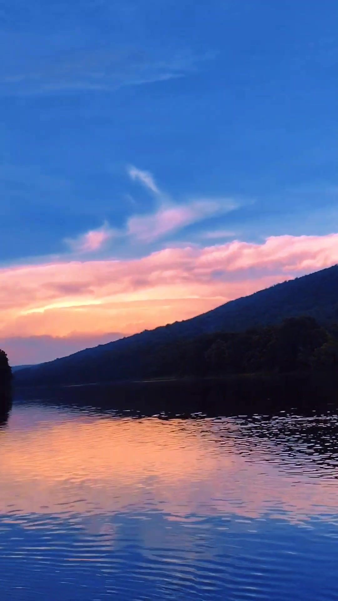 Video post by @shawneeinn on TikTok