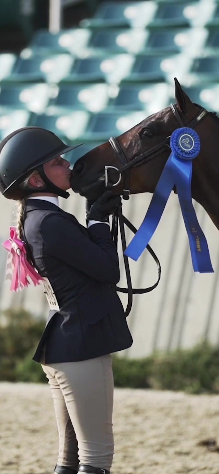 Video post by @usequestrian on TikTok
