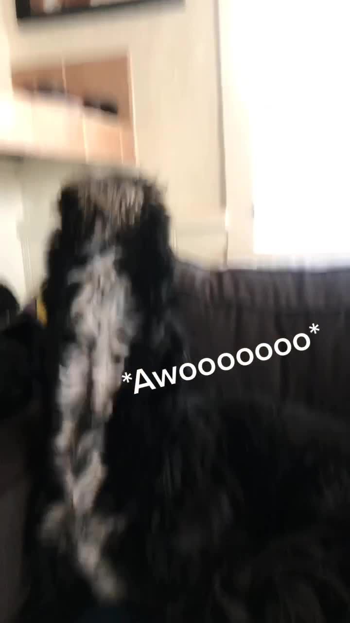 Video post by @jordankahana on TikTok