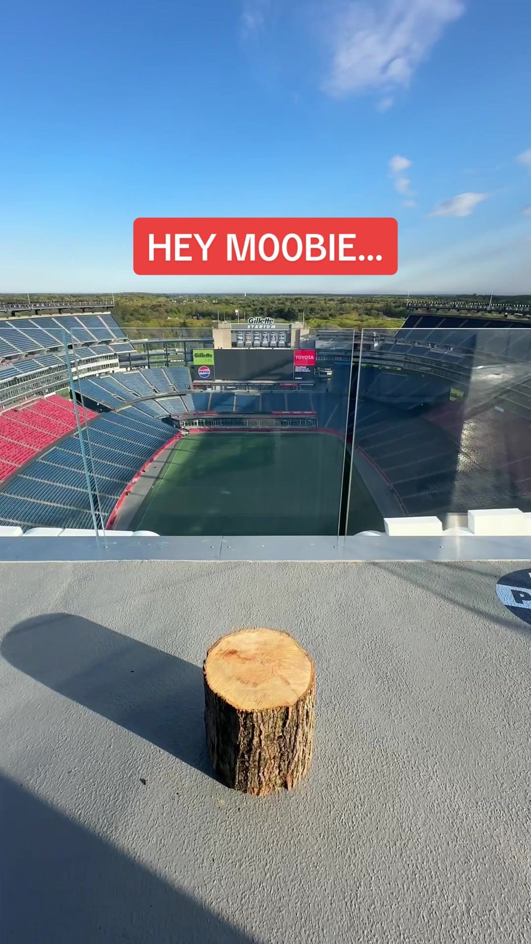 Video post by @patriots on TikTok