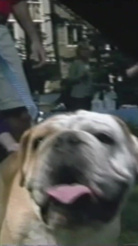 Video post by @georgetownu on TikTok