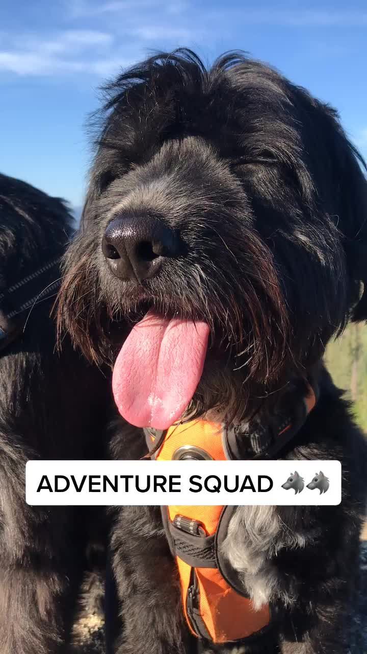 Video post by @jordankahana on TikTok