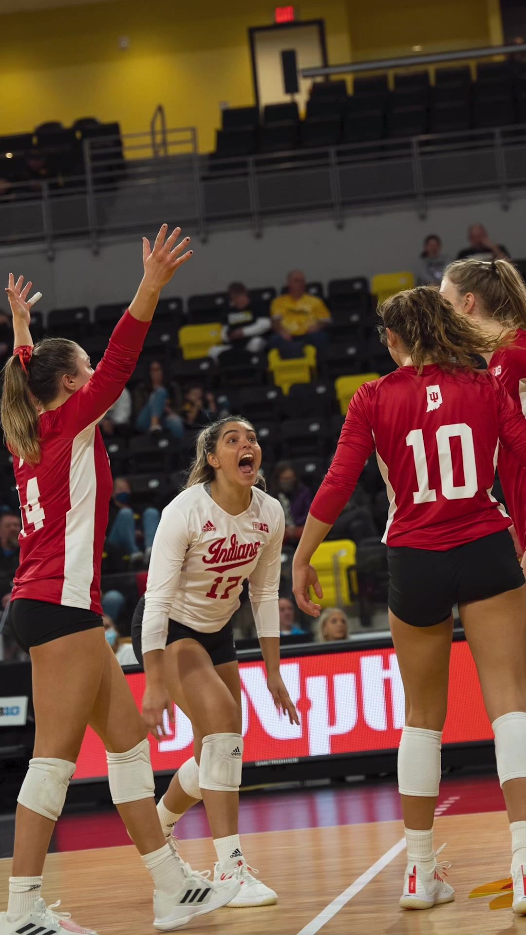 Video post by @indianavb on TikTok