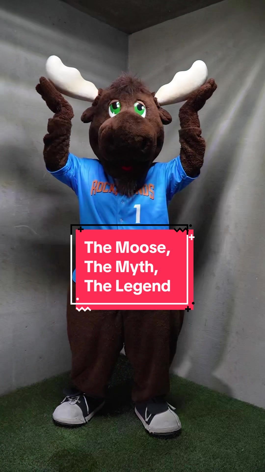 Video post by @midlandrockhounds on TikTok