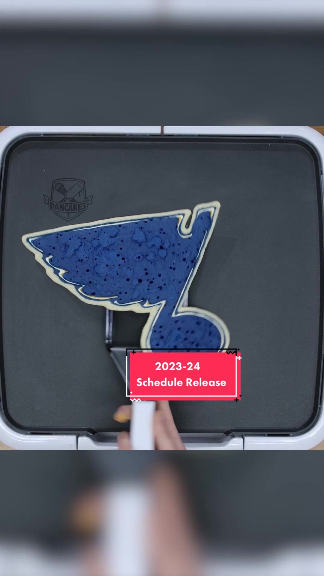 Video post by @stlouisblues on TikTok