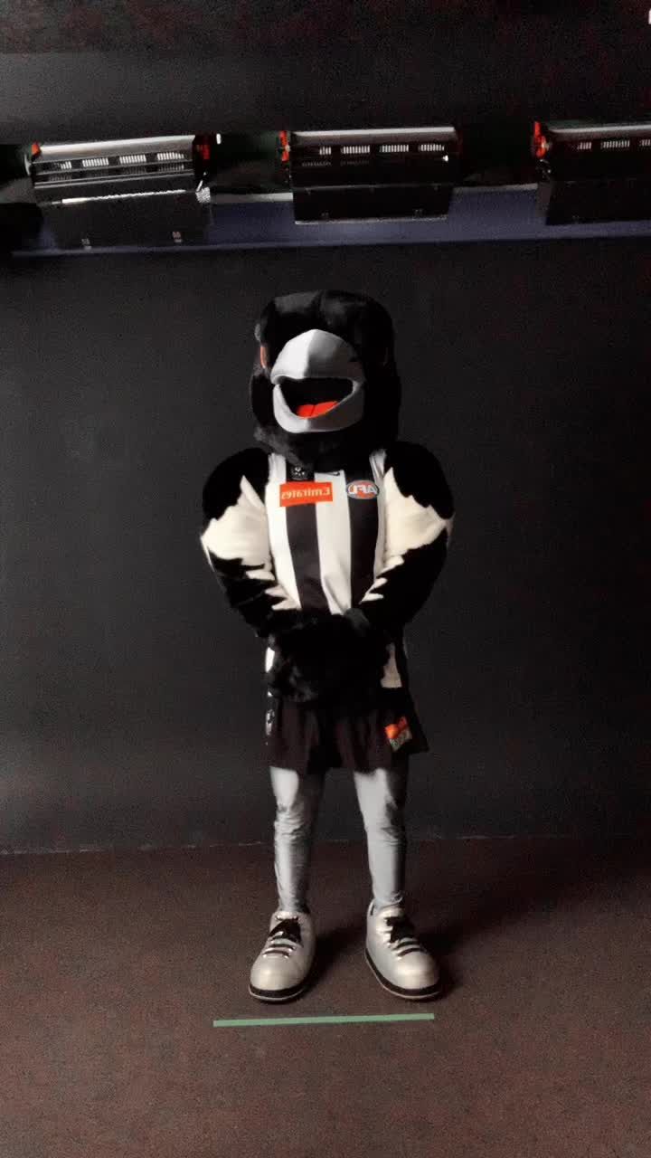 Video post by @collingwoodfc on TikTok