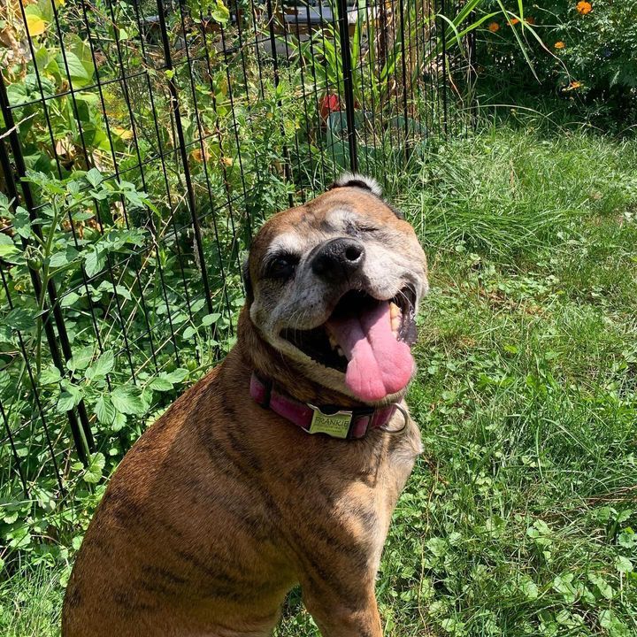 Image post by @LiveLikeRoo on Facebook