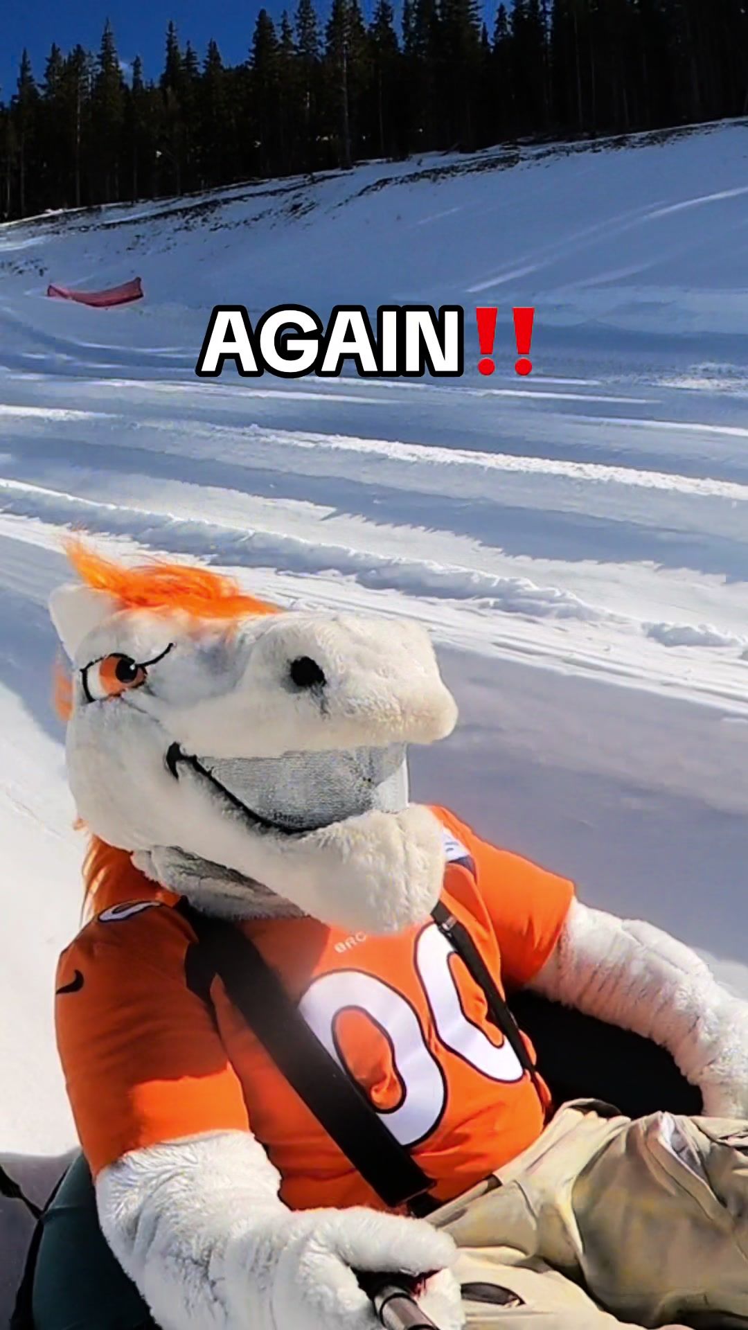 Video post by @broncosmiles5280 on TikTok