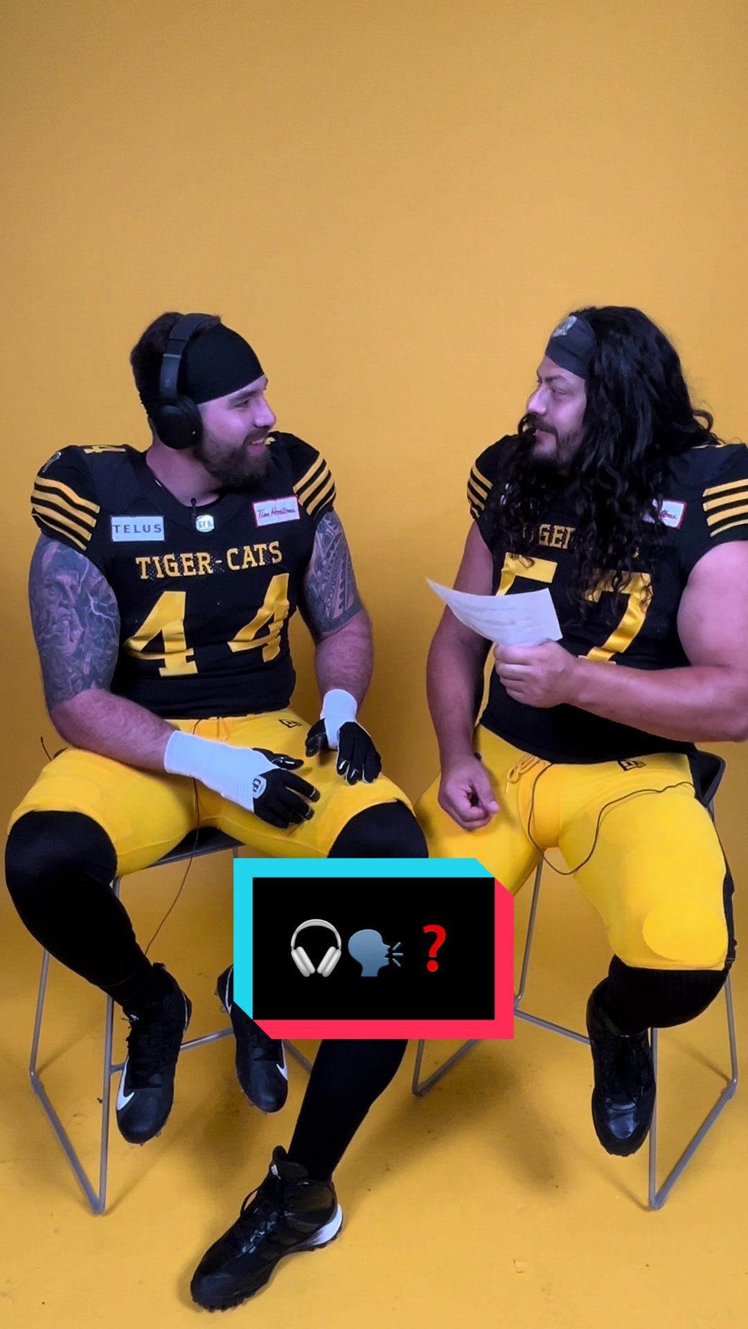Video post by @hamiltonticats on TikTok
