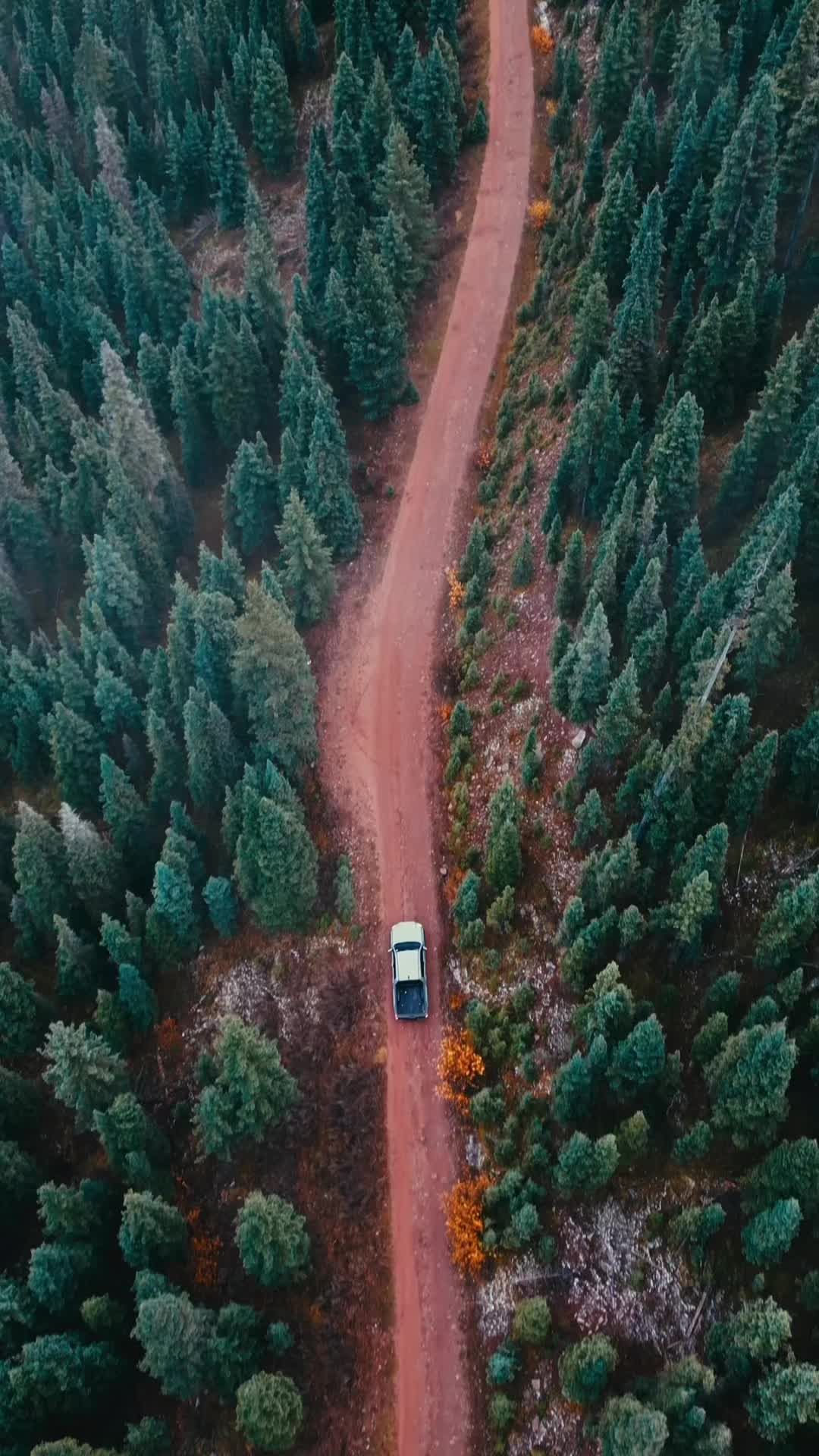 Video post by @nikolaizfpv on TikTok