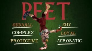 Video post by @WingfeatherSaga on Facebook