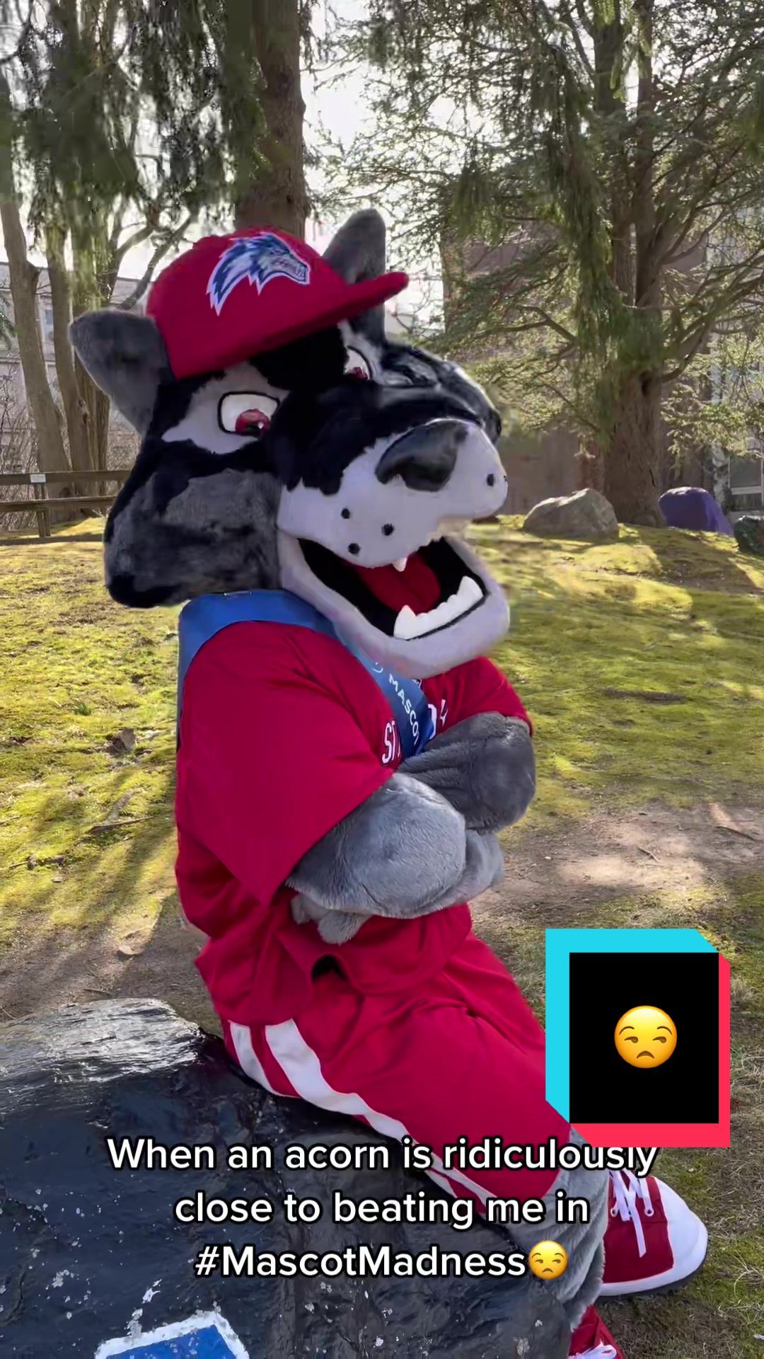 Video post by @stonybrookuniversity on TikTok