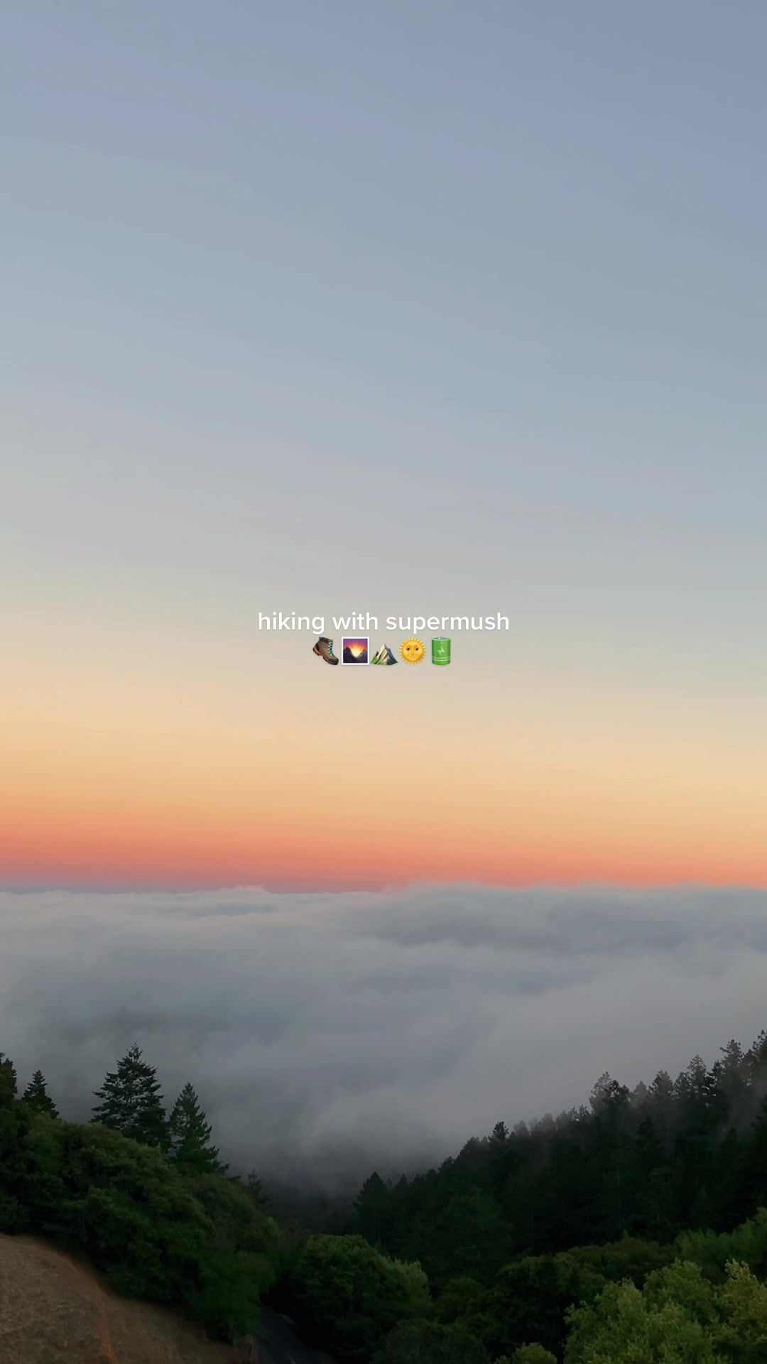 Video post by @heysupermush on TikTok