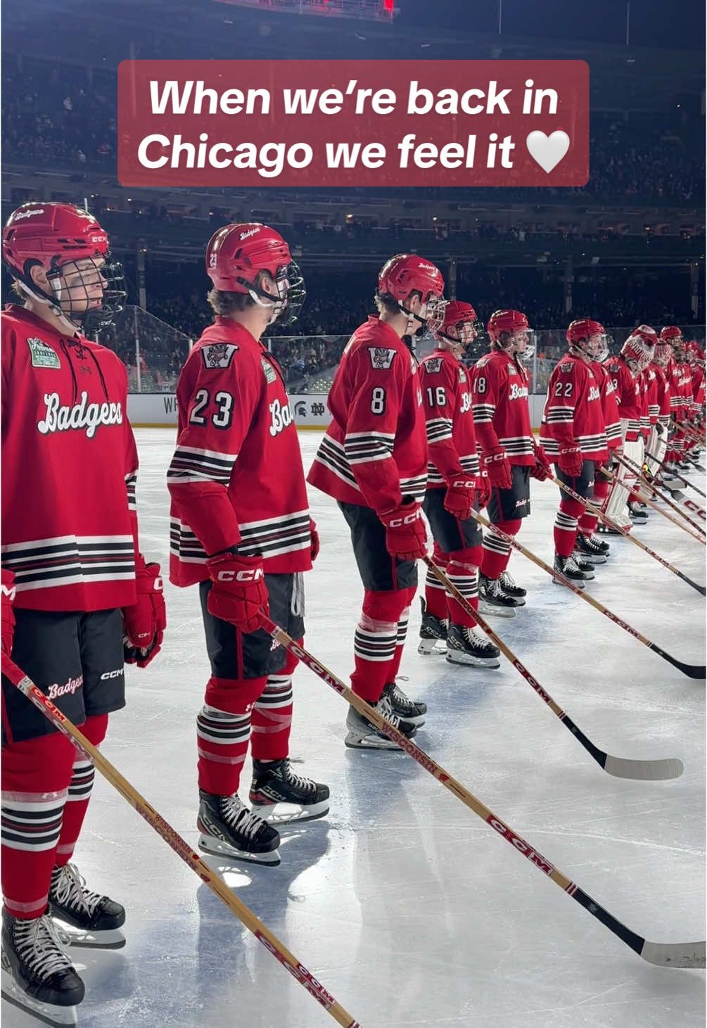 Video post by @badgermhockey on TikTok