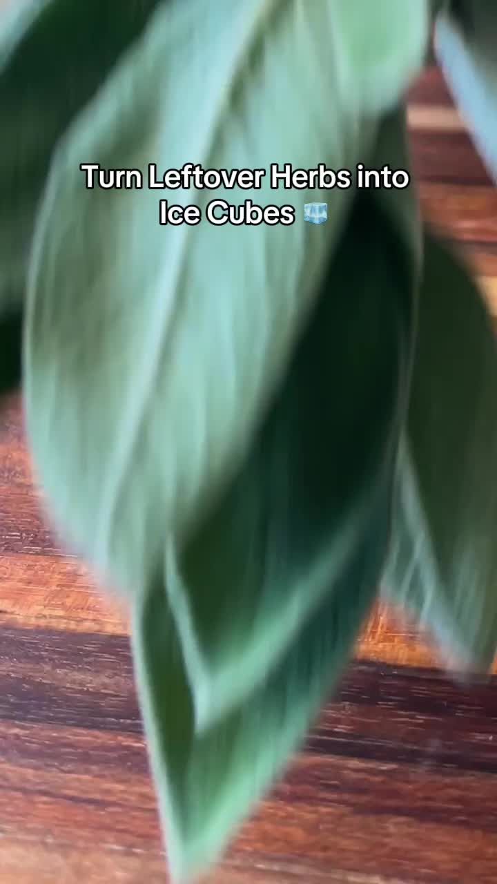 Video post by @testkitchen on TikTok