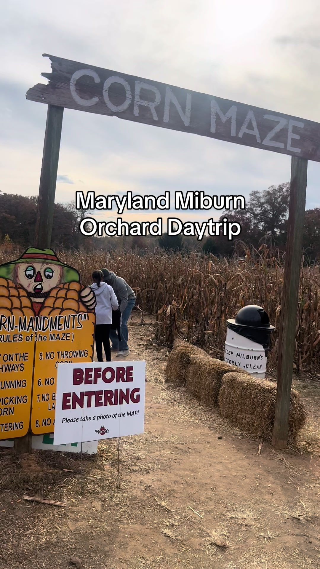 Video post by @limondaytrips on TikTok