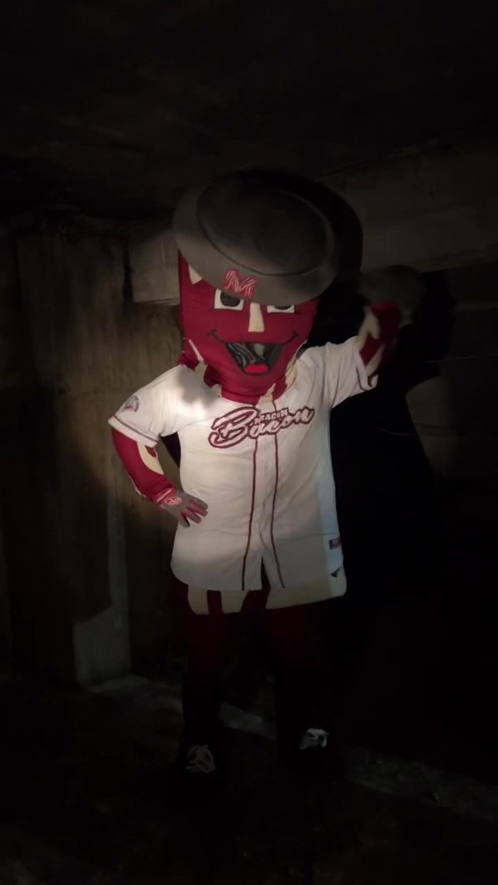 Video post by @gomaconbacon on TikTok