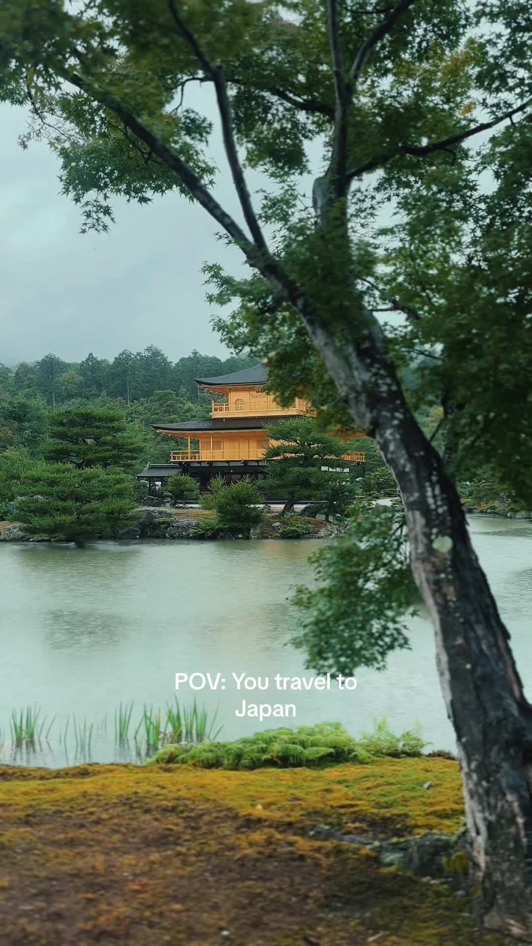 Video post by @_shotbyjohnny_ on TikTok