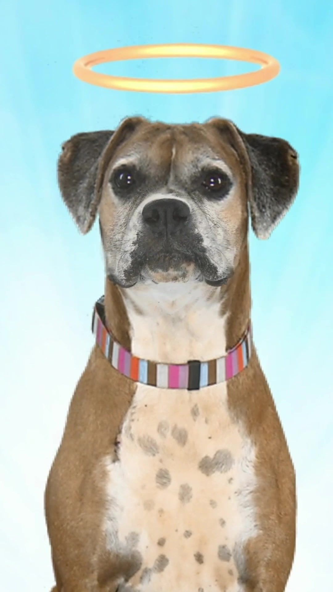 Video post by @comedycentral on TikTok