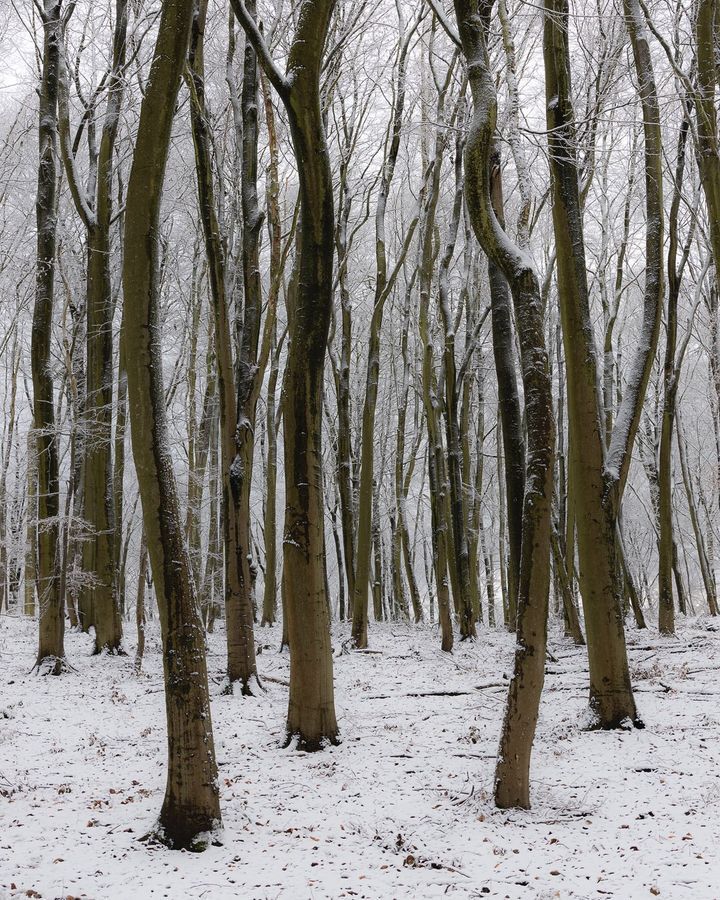 Image post by @cristan.photo on Facebook